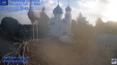 2024-07-22 19_39_24-Gniazdo Bocianie - Telewizja Sokółka [NA ŻYWO] _ IP Camera_ Stork's nest [LIVE] .jpg