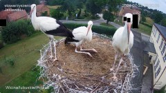 IMG_1073.jpeg