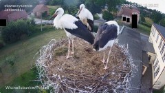 IMG_1254.jpeg