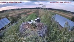 2024-07-22 21_46_03-Bociany w Nowym Kamieniu kam.3 - YouTube – Maxthon.jpg
