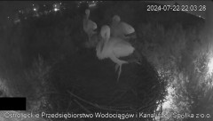 2024-07-22 22_28_21-Wodociągi Ostrołęka – transmisja na żywo - YouTube – Maxthon.jpg