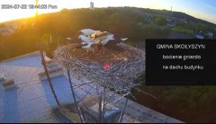 2024-07-22 22_49_58-[stimotion.pl] Bociany w Skołyszynie - YouTube – Maxthon.jpg