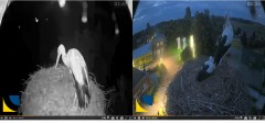 bandicam 2024-07-23 17-02-19-079.jpg