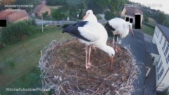IMG_1306.jpeg