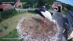 IMG_1350.jpeg
