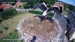 IMG_1355.jpeg