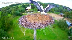 2024-07-23 21_20_21-Bociany Lublewo - YouTube – Maxthon.jpg