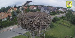 IMG_7363.jpeg