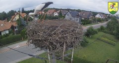 IMG_7367.jpeg