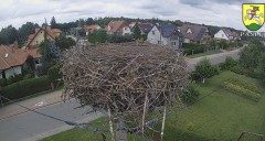 IMG_7408.jpeg