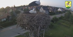 IMG_7503.jpeg