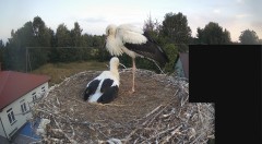 IMG_7481.jpeg