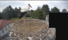 IMG_3450.jpeg