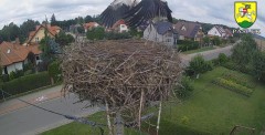 2024-07-23 13_44_15-BOCIANY kamera na żywo z gniazda w Pasłęku – Maxthon.jpg