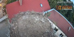 IMG_7501.jpeg