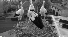 IMG_7485.jpeg