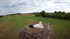 IMG_7549.jpeg