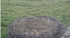 IMG_7400.jpeg