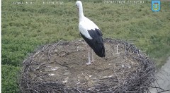 IMG_7675.jpeg