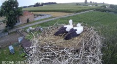 IMG_7733.jpeg