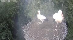 IMG_7845.jpeg