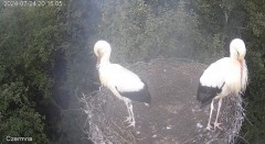 IMG_7846.jpeg