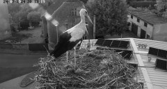 IMG_7812.jpeg