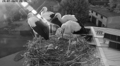 IMG_7818.jpeg