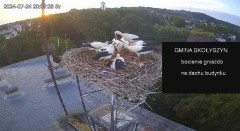 IMG_7855.jpeg