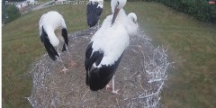 IMG_7557.jpeg
