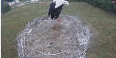 IMG_7566.jpeg