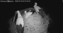 IMG_7848.jpeg