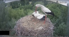 IMG_7888.jpeg