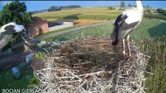 2024-07-25 10_12_25-Bocian Gierłachowo - YouTube – Maxthon.jpg