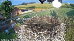 2024-07-25 10_12_36-Bocian Gierłachowo - YouTube – Maxthon.jpg