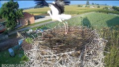 2024-07-25 10_12_58-Bocian Gierłachowo - YouTube – Maxthon.jpg