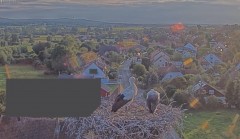 bandicam 2024-07-25 20-19-25-169.jpg
