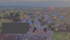 bandicam 2024-07-25 20-19-28-097.jpg