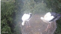 IMG_8027.jpeg