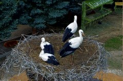 IMG_7980.jpeg