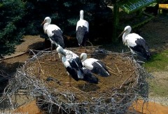 IMG_8005.jpeg