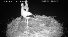 IMG_8112.jpeg