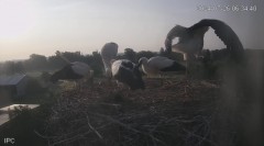 IMG_8179.jpeg