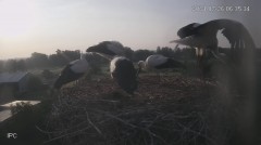 IMG_8181.jpeg