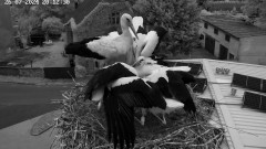 IMG_8449.jpeg