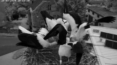 IMG_8463.jpeg