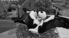 IMG_8470.jpeg