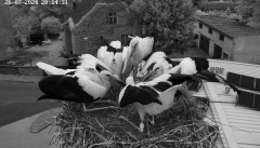 IMG_8479.jpeg