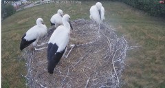 IMG_8430.jpeg