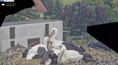 IMG_8353.jpeg